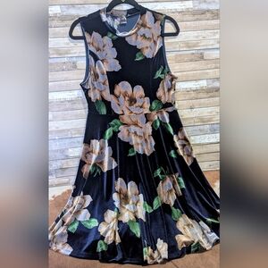 I ❤️ Joah Brand Velvet Floral Sleeveless Dress